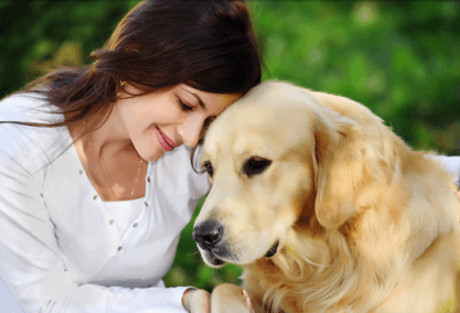 How to heal your pets with energy