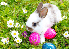 04162014_Easter_3