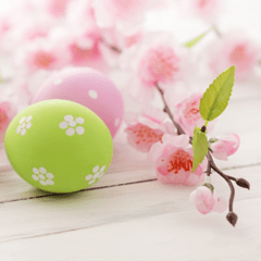 04162014_Easter_6