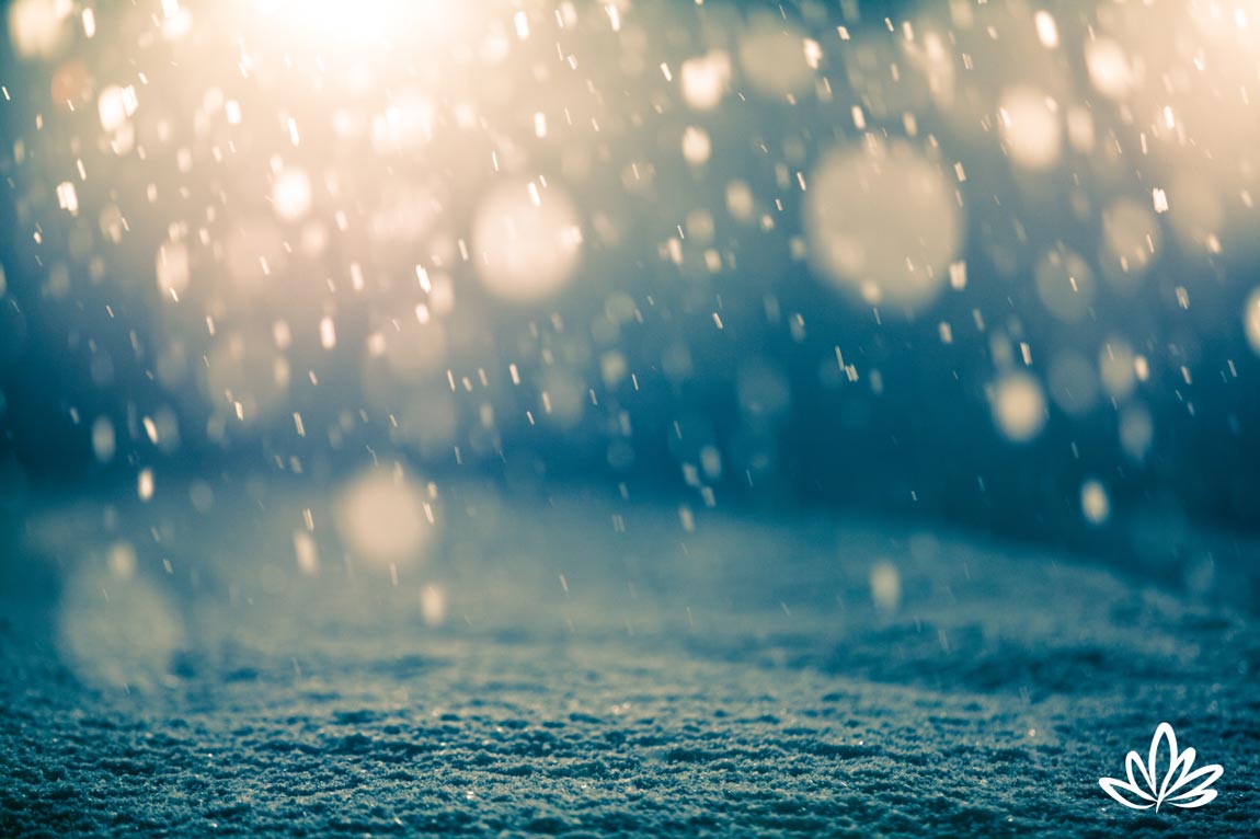 2018-LightUpDarkBlog-1