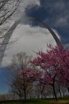 StLouisArch-compressed
