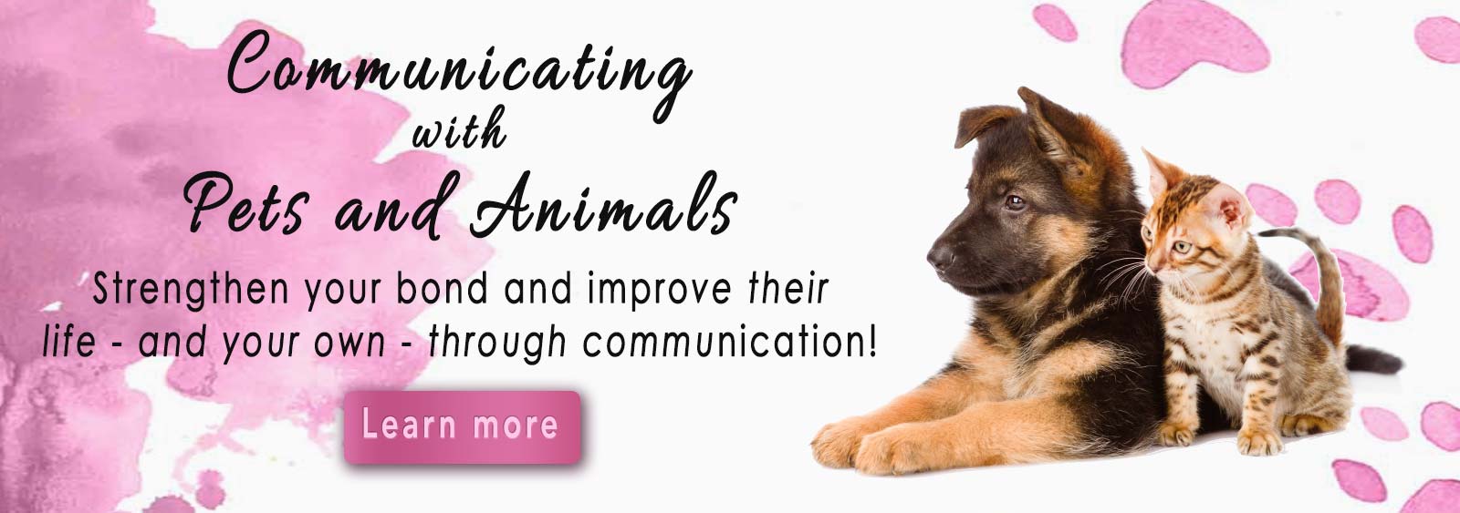 Pets and Animal Healing