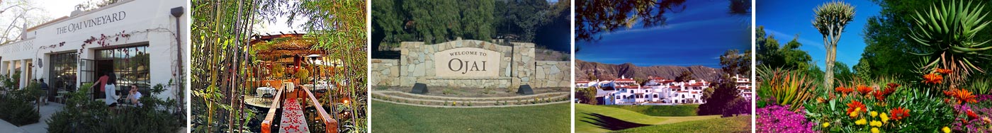 Ojai Collage