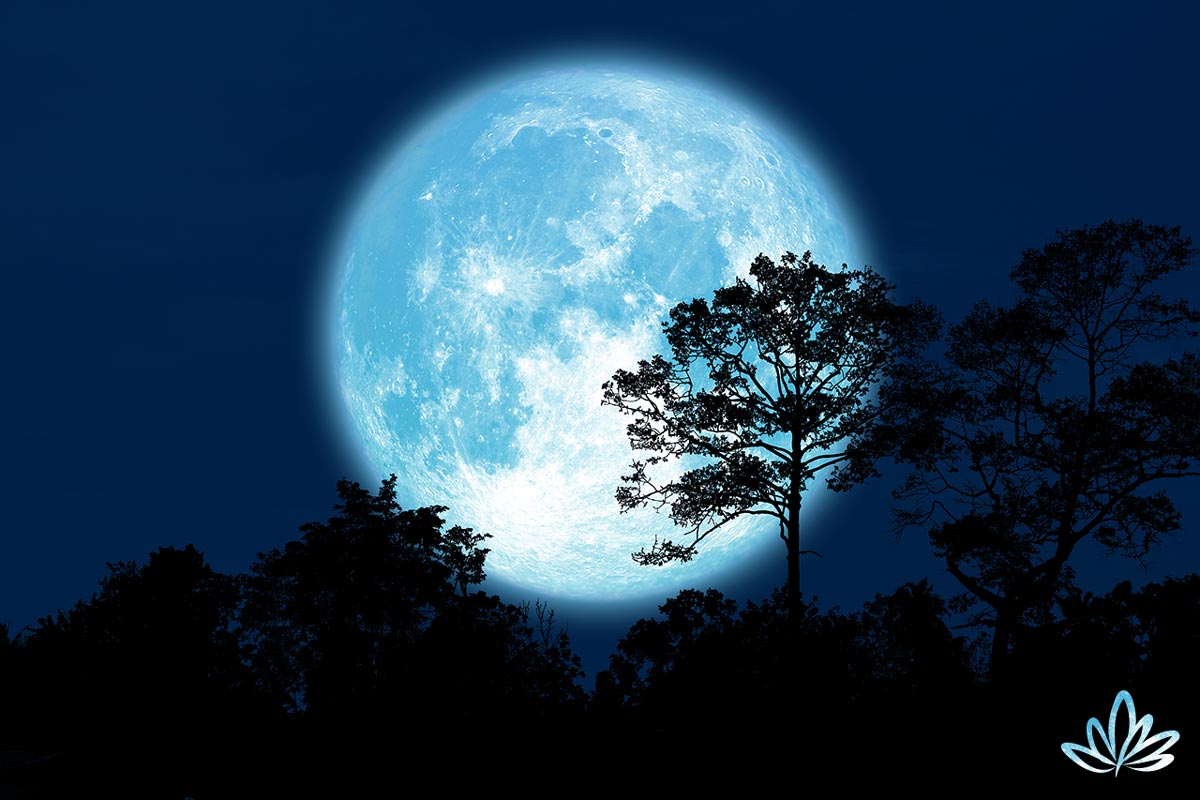 5 Healing 'Supermoon' Practices 