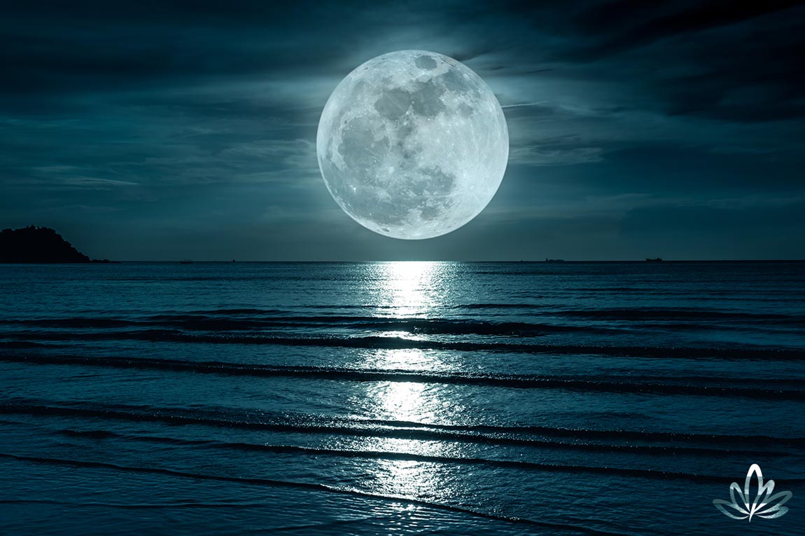 2020-LastFullMoonBlog 2020 last full moon