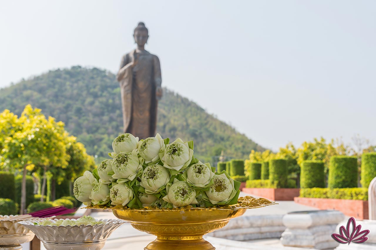 Buddhist Metta
